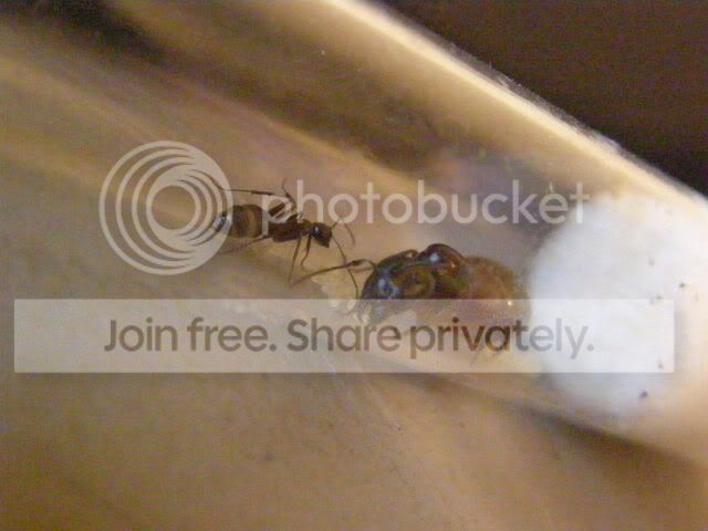 bacd693e.jpg