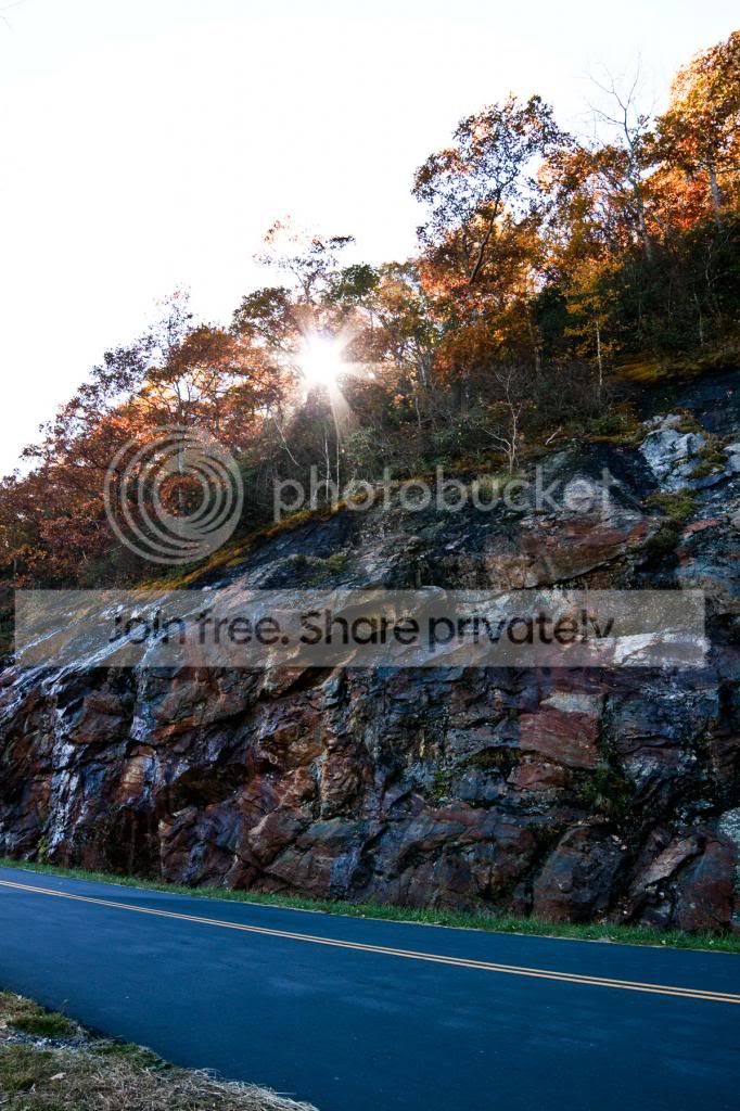 sunshine_zpse8db4dbe.jpg