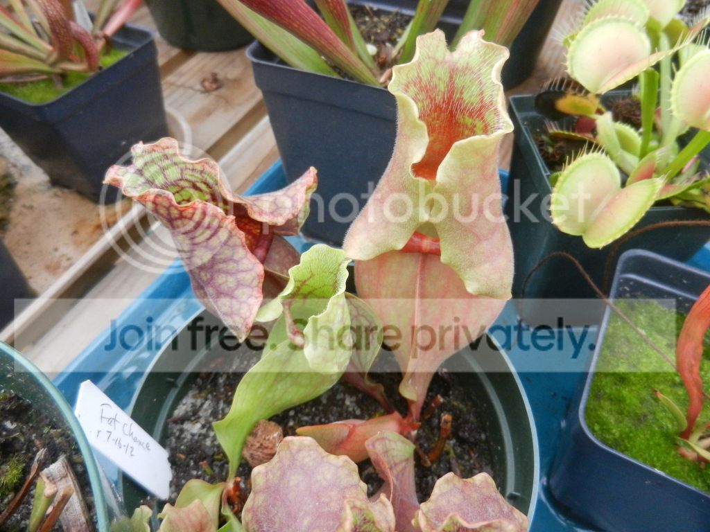 UNCCGreenhouse061.jpg