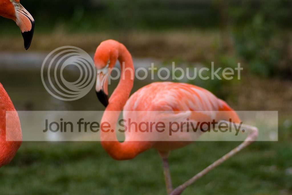 IMGP3648_zpsv68n89qt.jpg