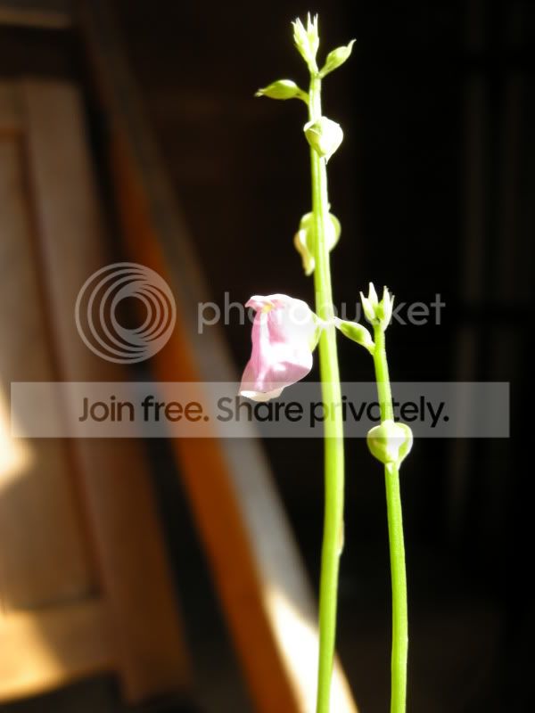 DSCN5881.jpg