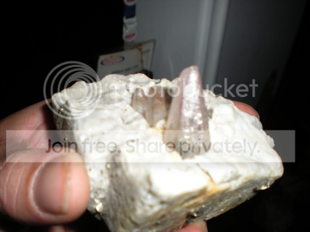 DSCN7186.jpg