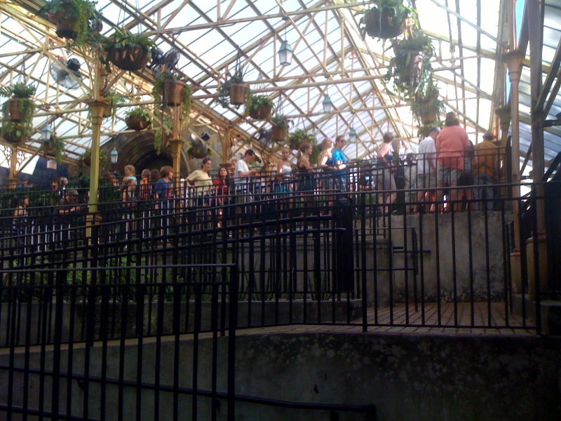 greenhouse.jpg