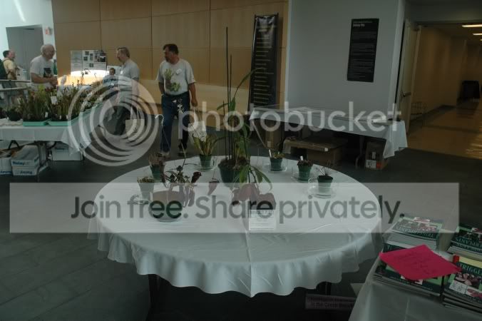 2006-6-5_ICPS_Meeting_322.jpg