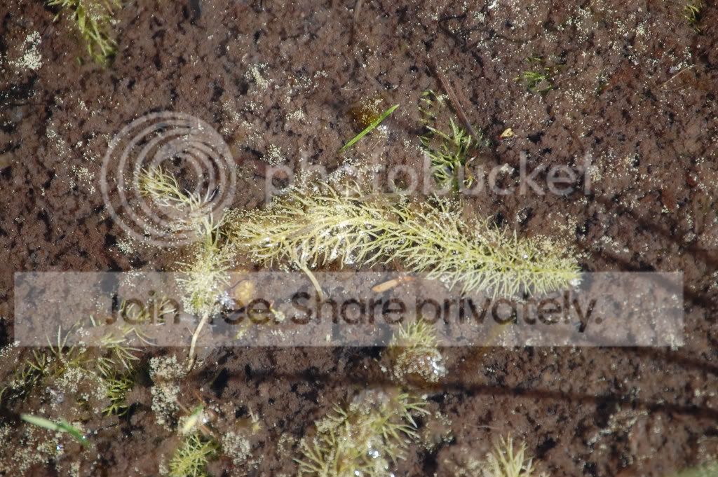 DSC_01410005.jpg