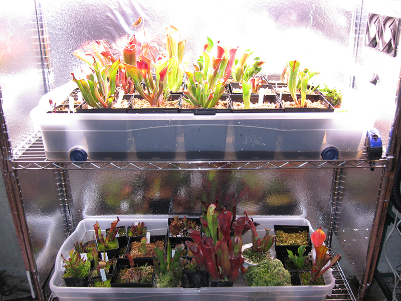 rack1.JPG