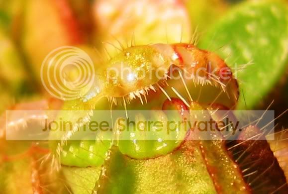 IMG_2265.jpg