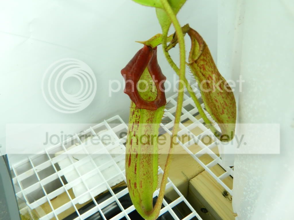 DSCN0842.jpg