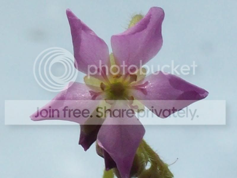 100_9300.jpg