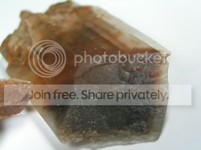 b676f3bd.jpg