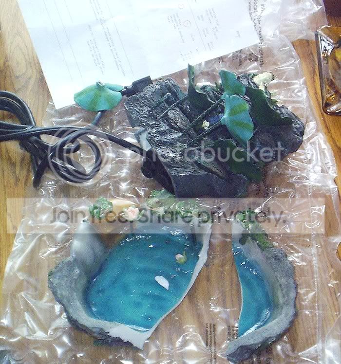 brokenfrogpondfountain.jpg