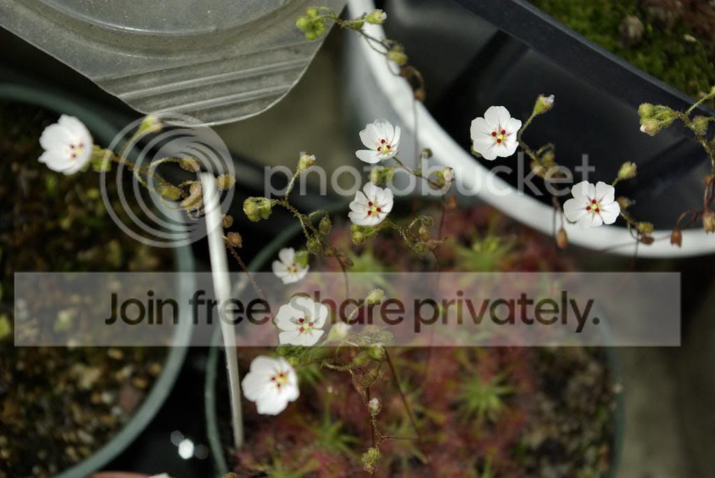 _IGP0737.jpg