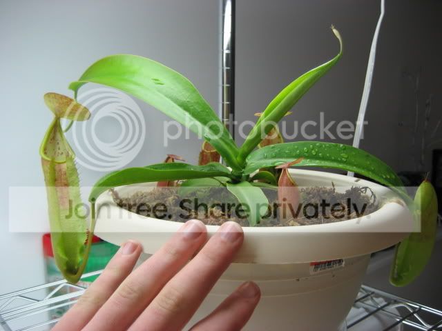 IMG_1019.jpg