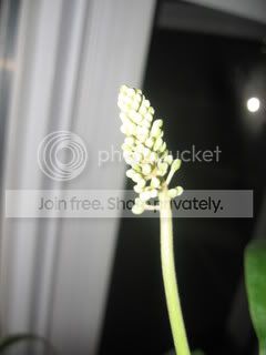 IMG_8862.jpg