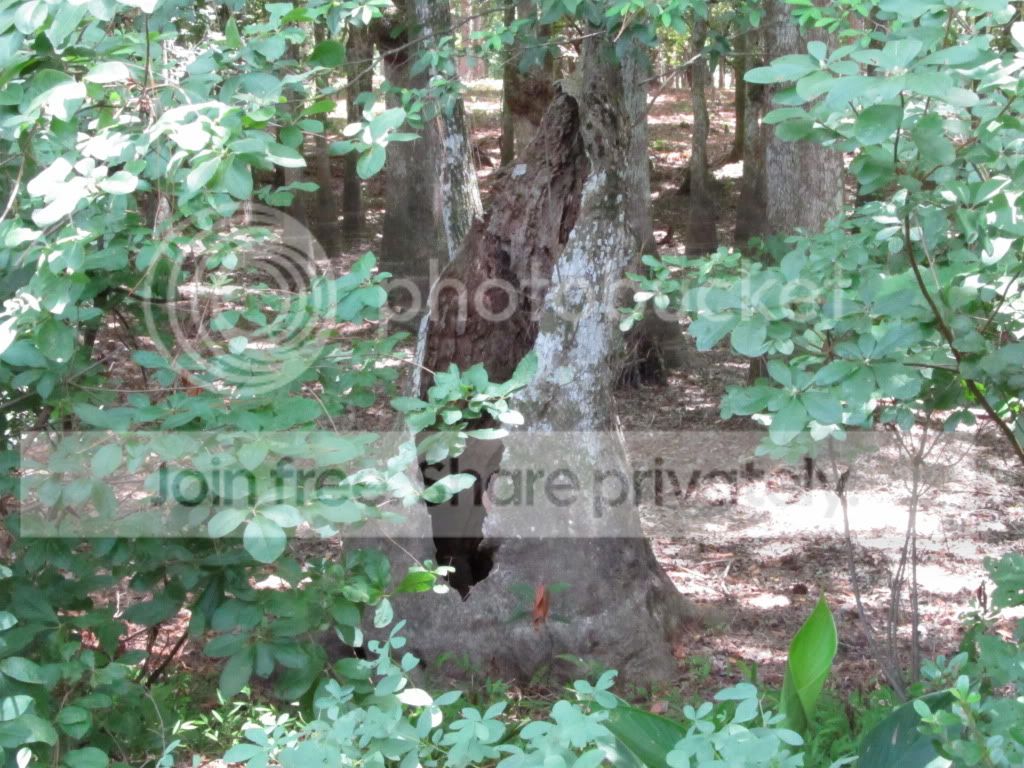 IMG_6405.jpg