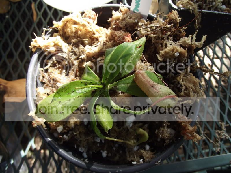 DSCF5926.jpg