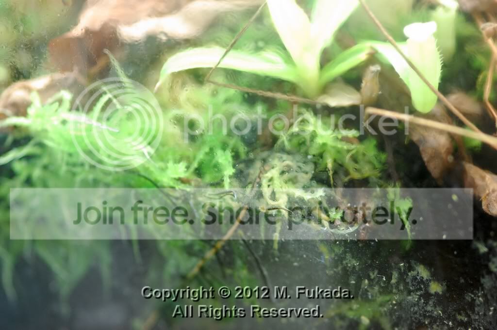 DSC_00220010_hf.jpg