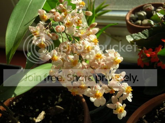 DSCN7062.jpg