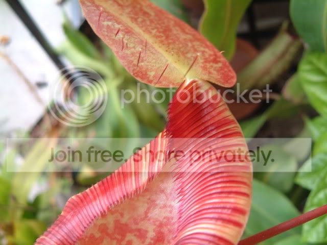 newpics034.jpg