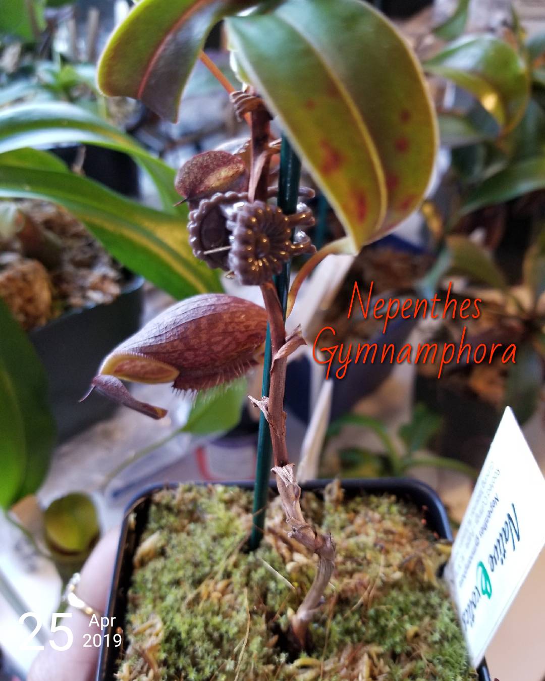 52124da14e425cf7db6eb3f43292bc35.jpg