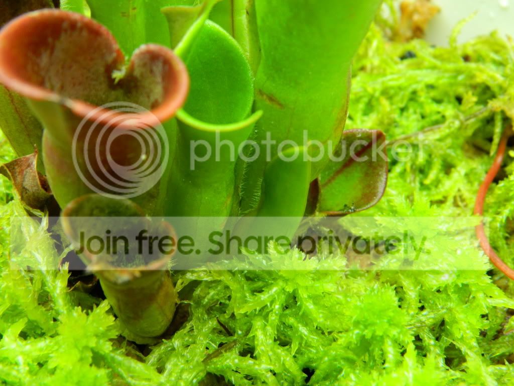 DSCN0560.jpg