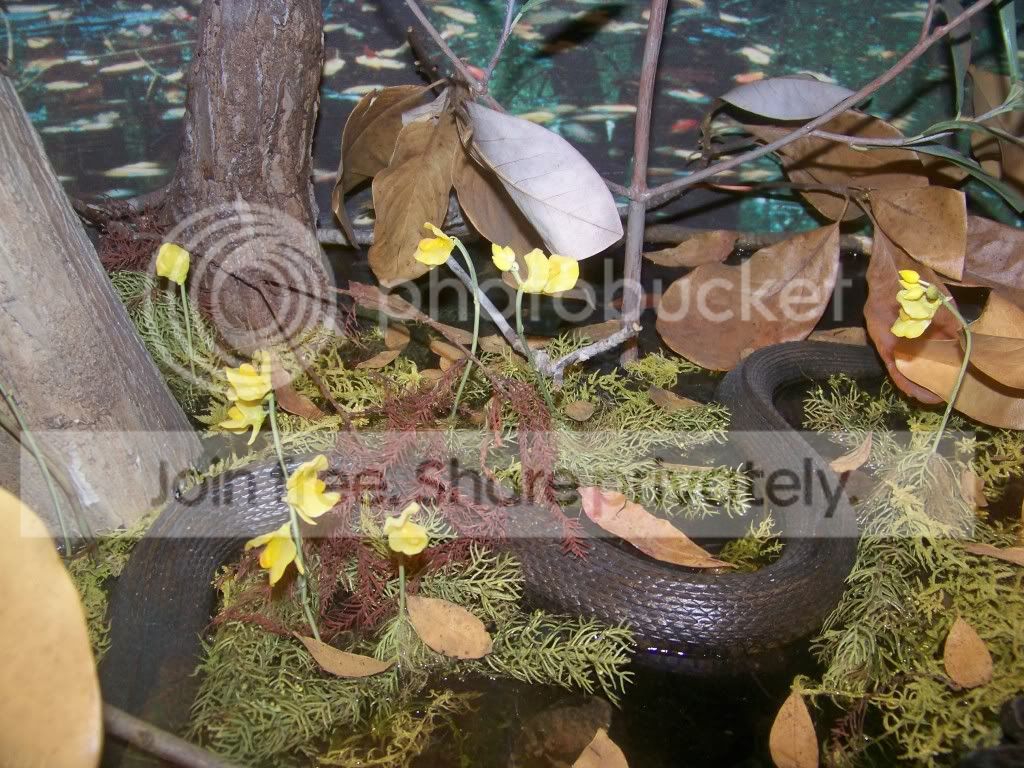 100_3813.jpg