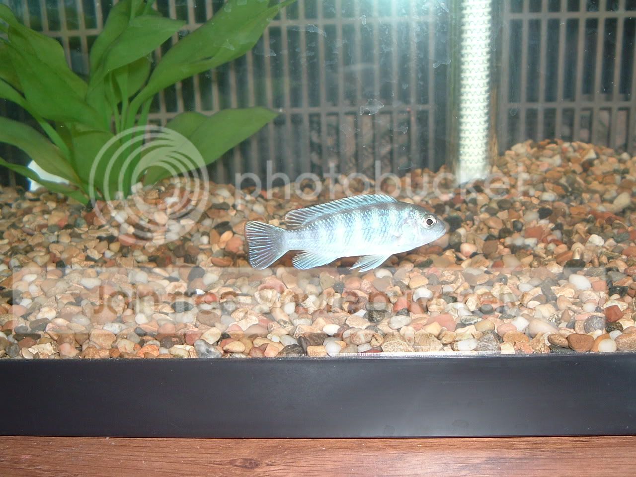 DSCF1372.jpg