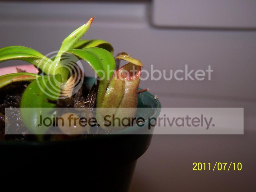 100_4787.jpg