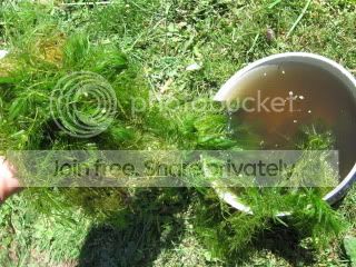 IMG_1236.jpg
