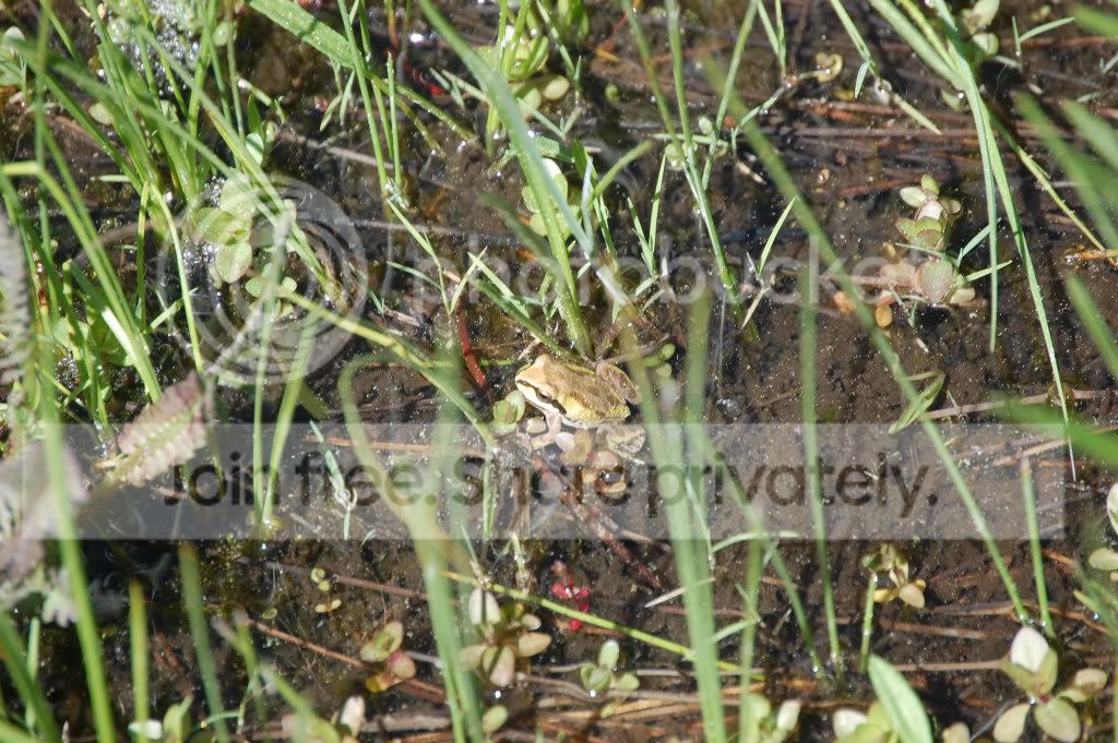 DSC_01860017.jpg