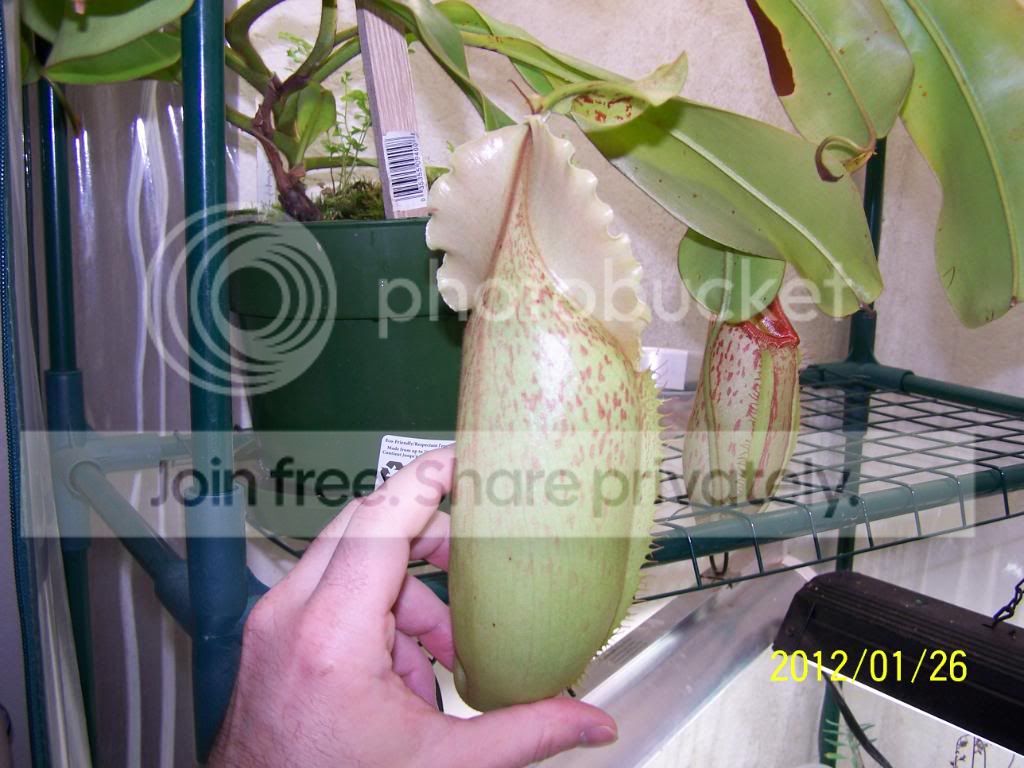 100_5794.jpg