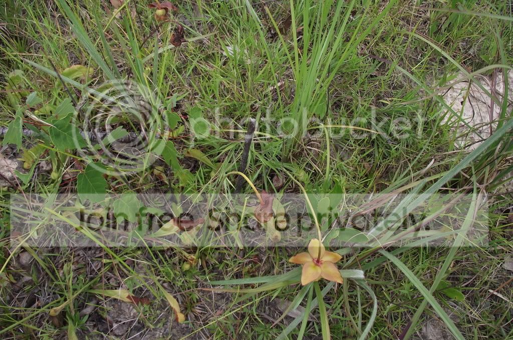 DSCF8639.jpg