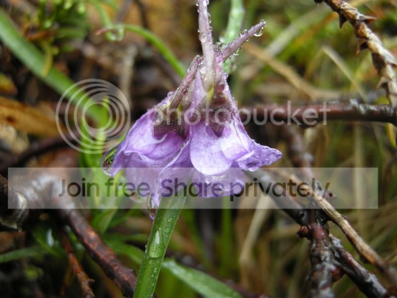 DSCN7548.jpg