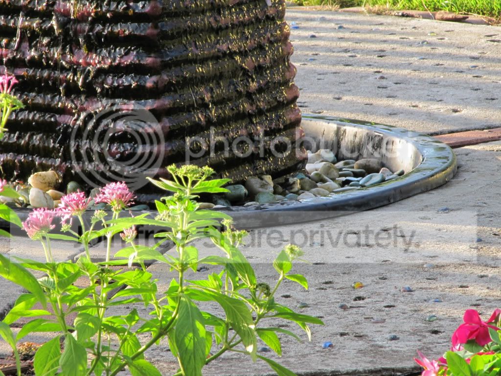 IMG_6540.jpg