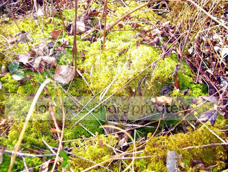 100_3306.jpg