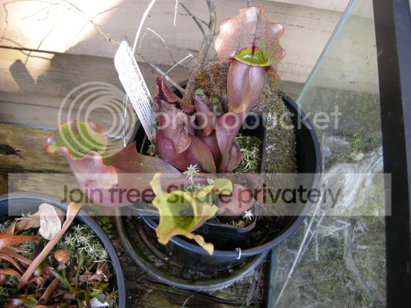 DSCN5997.jpg