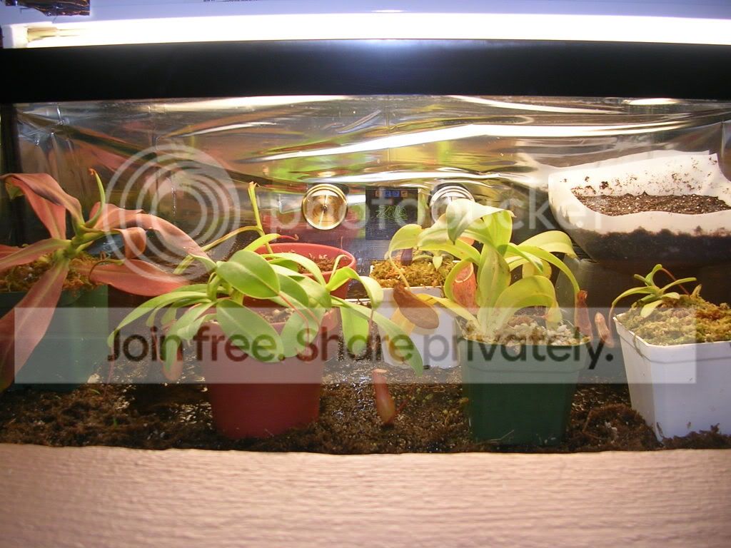 DSCN3725.jpg