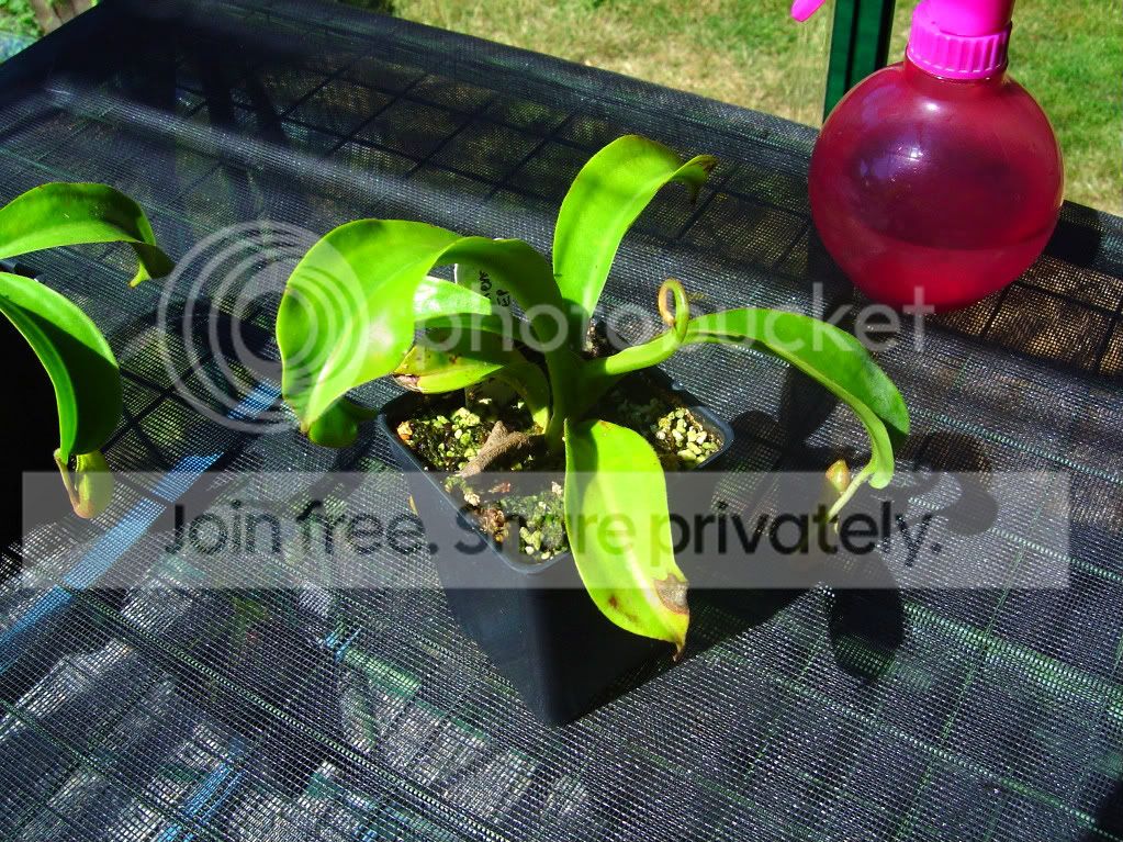 6-30-09004.jpg