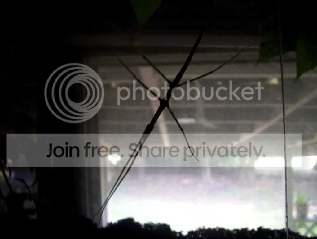 100_5179.jpg
