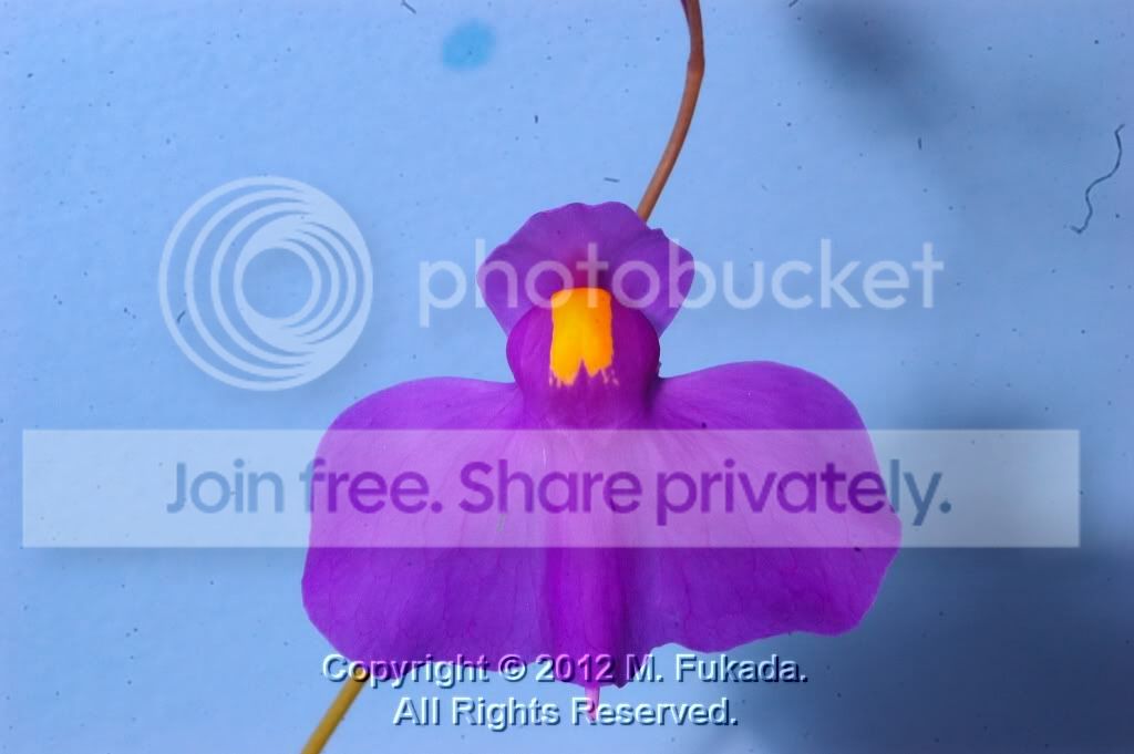 DSC_00160005_2_hf.jpg