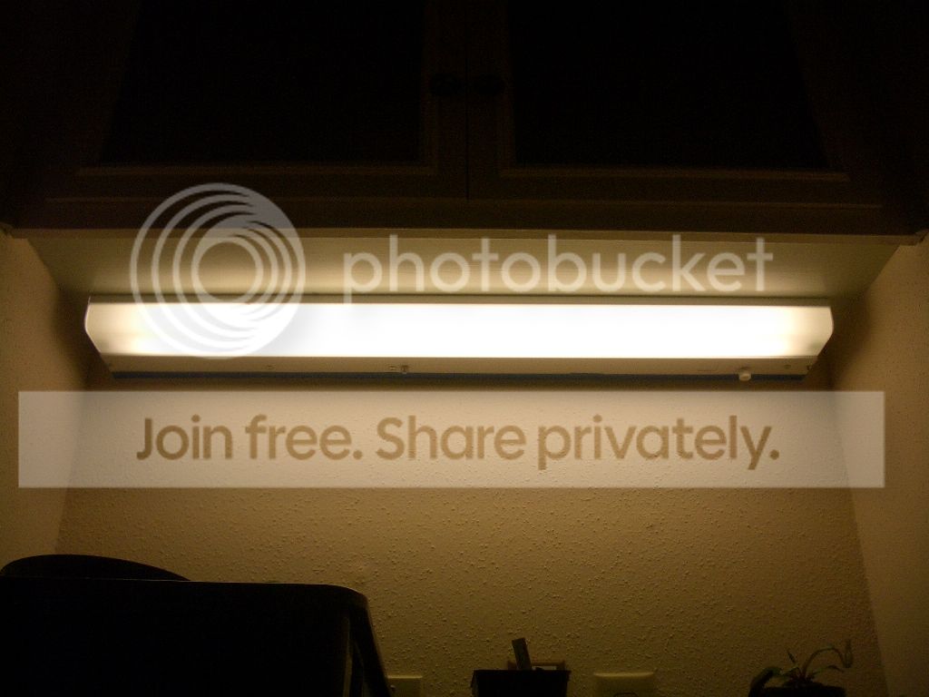 IMGP9494.jpg
