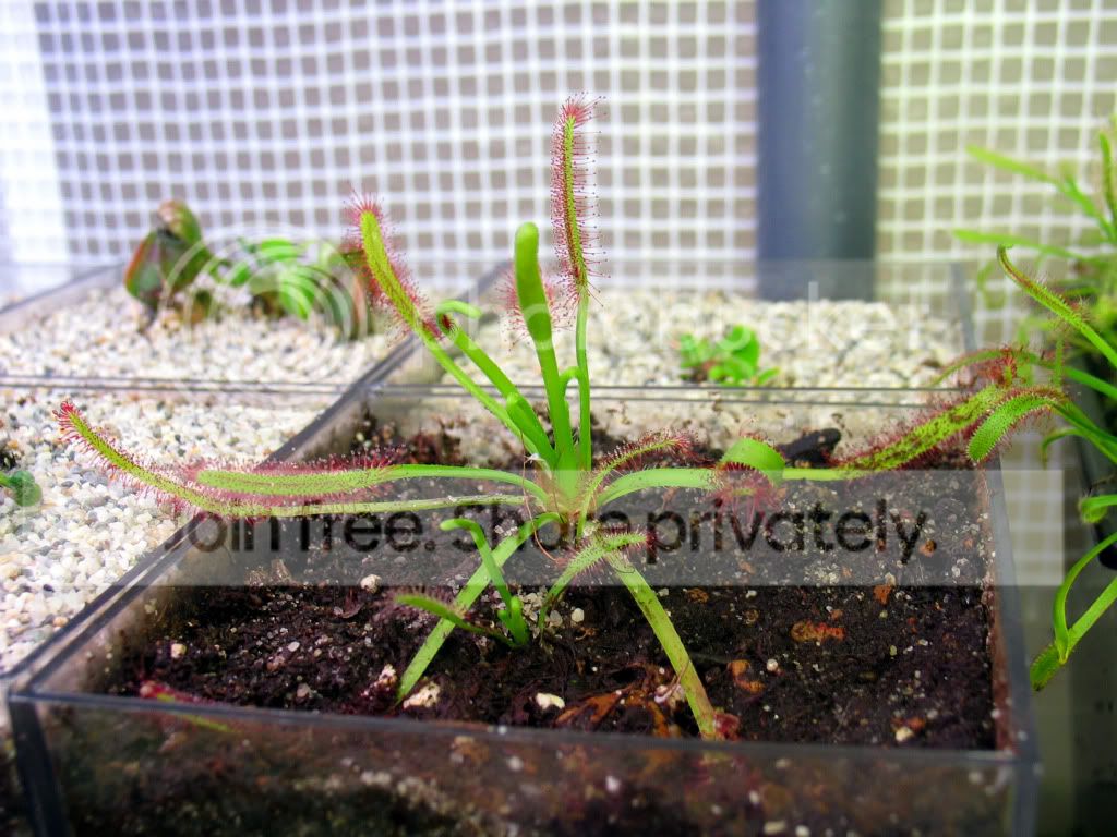 IMG_0234.jpg