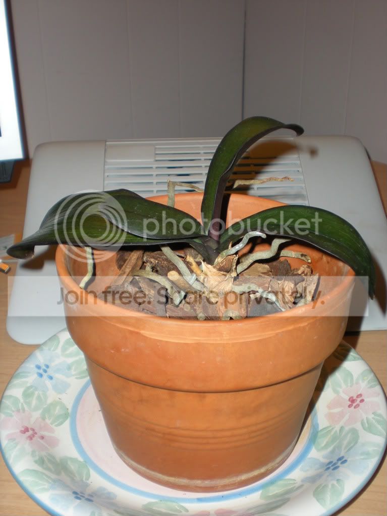 DSCN7589.jpg