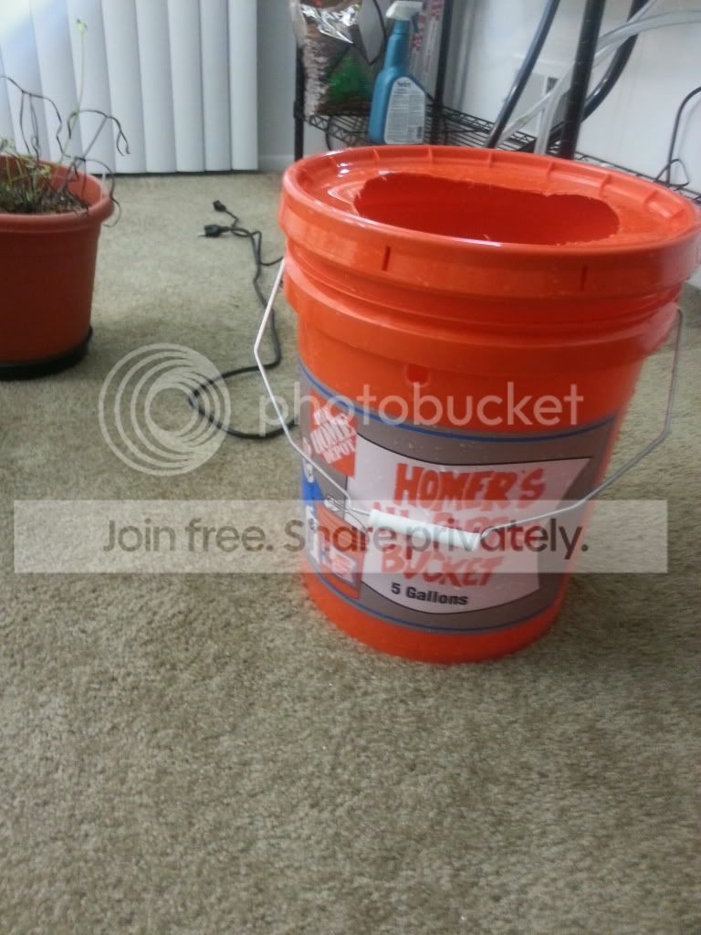 20130110_184501.jpg