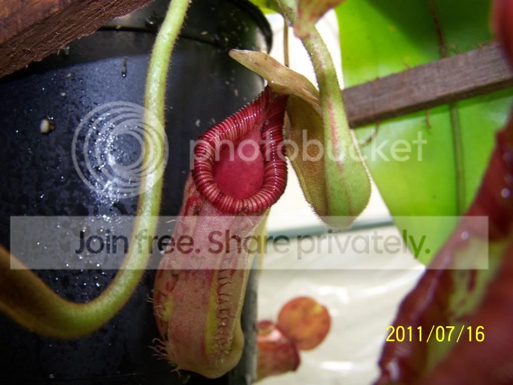 100_4832.jpg