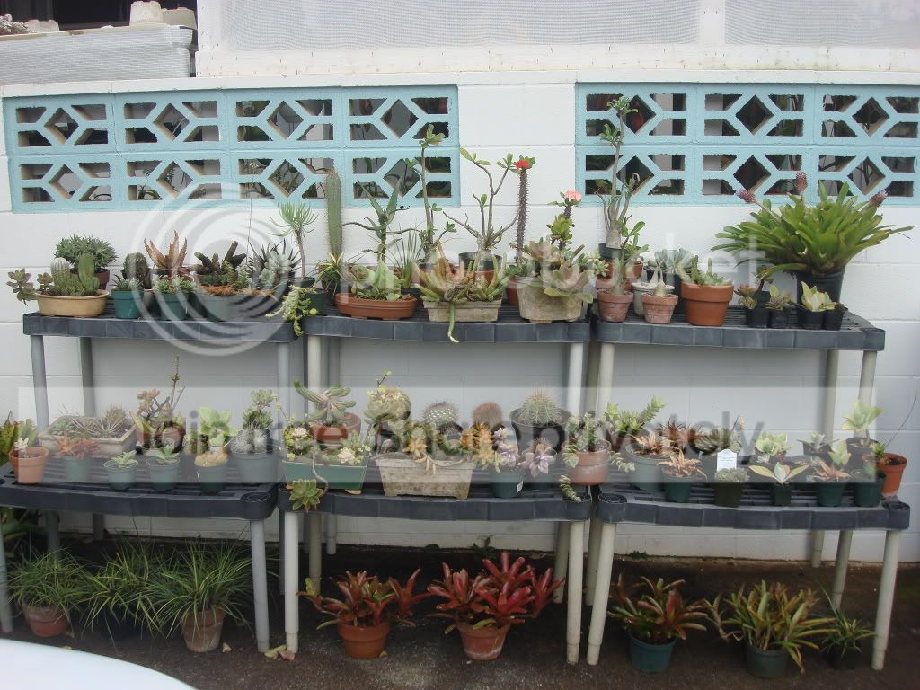 DSC06376.jpg