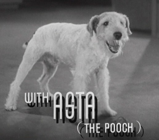 Asta_in_After_the_Thin_Man_trailer.jpg