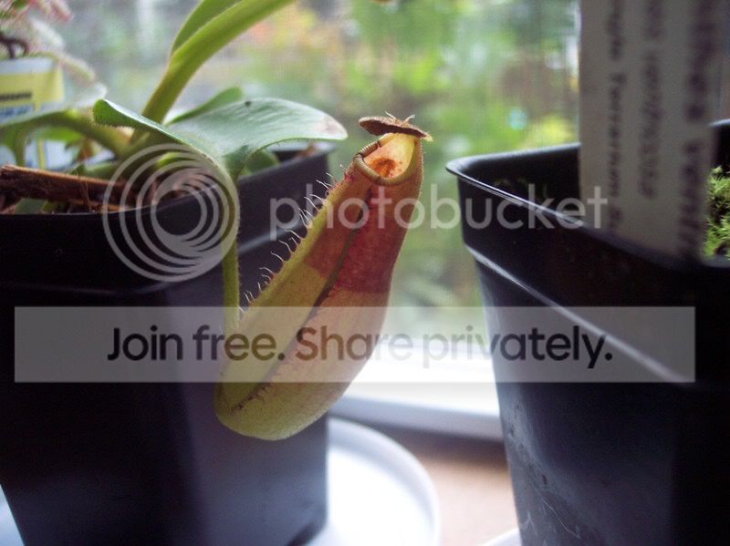 100_0597.jpg