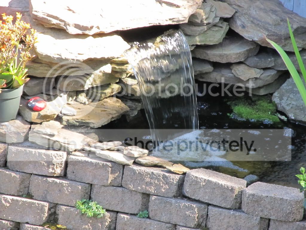 IMG_4790.jpg
