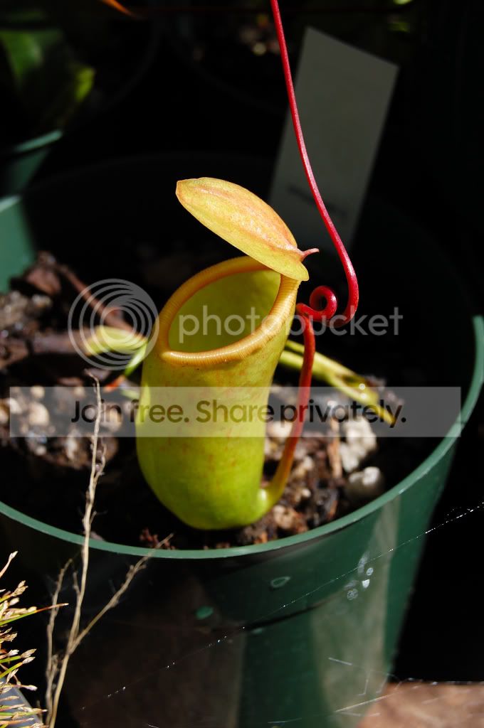 DSC_00490017.jpg